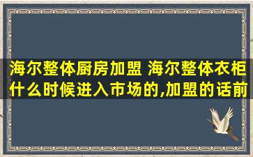 海尔整体厨房加盟 海尔整体衣柜什么时候进入市场的,加盟的话前景如何
